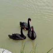 Eb6c36148bec4c7298b26c117f1e3f59