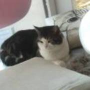 Ab2d65d134b43bf1db3f741afb8b4c78