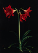 67cd4adecb1fe93edf12b0ccdfbcdbc6