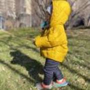 B8f321b3493457ab962cd957fc05f3dd