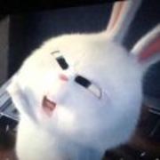 8194213f60a1a13cc674ee9a1bf4189d