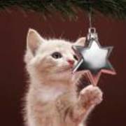 12f20771ab71db7e635b5b587199e67c