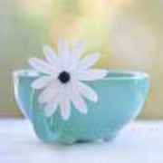 238b4c32a6333efa830fe90d38e8fc84