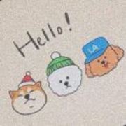 6e2e14256ef8428cb6ad61b51bdc49e1