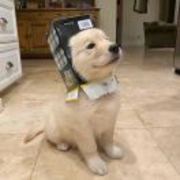 D5854d6eb06b6b206ad734a20ad60155