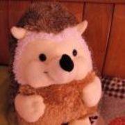 5dec9c4be7b44b6394fcbae0ee323d2b