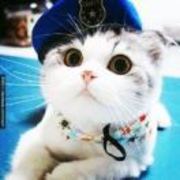 9eb311e790fecfafb134fa0ec443c472