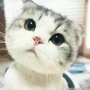 F3295cea75124c2bd1a3d9131131d4b2