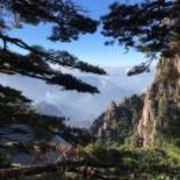 Dc0ff6bb080120ac3db52459ef609dfe