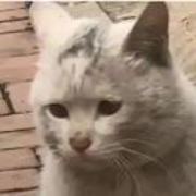 Dfd64b2726123c58d8de755d716a4e0c