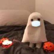 2e2e7c901823da319f6dacc7b6ca1ea0