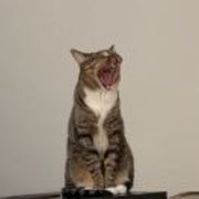 Eedb62713e77f7f561175d2141324803