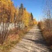 Df0af53981176d814818495c365294ca