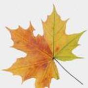 5e877192d8f6e676e0260826e3aca48d