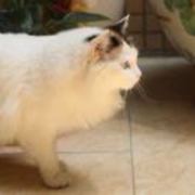 A87d71d4794b621dcb2c63ffefd506ae