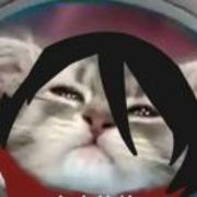 0dbba35d37a5dff8cbec6bc4aae5229b