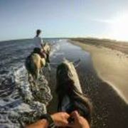 258d13de76b8f28d379702241bdc6d9d