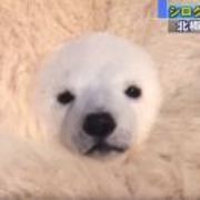 5df57b7a4c24a4cf1c2db5da876d8f9f