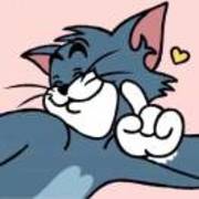 Ac1551b0c9096316d20cc6e216e7ddac