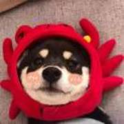 5cc593aa6870ba76b3d28f15b431c2ad