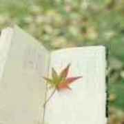 7d9276cf128374719e8ee7763c9fba33