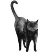 E1cc6b45541a9586a3a0843a7c22453c