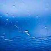 D9354b084b12523aab199de9df390630