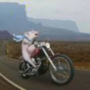 Fe5b0f9d7be6c8727d7eae9797bcb628