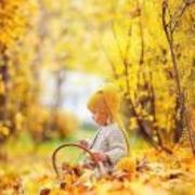 Dd14949ec9225a01c716726dd18a2dbc