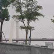 424125322cfa2ae8b30179b64d3d8c5c