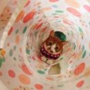 Cb54195d8be2a69e2a0f8c7ce16108ff