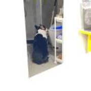 6a6303d9c8a269437e408220e88c8475