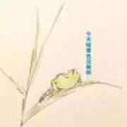 771cb630529c14617df52d78bdb39ac1