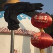 B4425e874b303f2199b4d5000b93a9f5