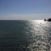 709a57c37e03dedd55fa891738e365cd