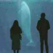 346e94affdfef03ffc4bbb346d9dd412