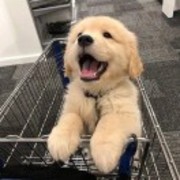 504f30842e71b56c83d203e17bc9e6f8