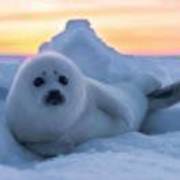 47ac80f098d23cb2a65efed291378a6a