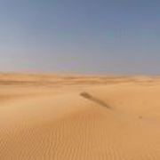 D60f8184de112dc65d24f0105266f8f5