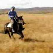 095d1cfc7c63789607a461f6a95efc5e