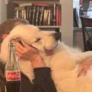 452166b41d7a4d0fe956b6d16947f7f5