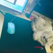 4db1b03e294371e32dfcbf69aa6672f3