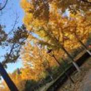 1f6a2b753d59cc96c0fd06e264b80140