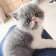 7fe8f5324bf00a959bc48d26412475fa