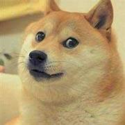 1a34a9d54ef141c5845c9e39acf2a318