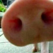 33822dcb1c444058c7c76f796873ccf5