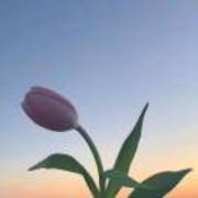 11093d228d3782bddbf363b321af8ddd