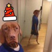 5a92aaf505c0e76b8bedf21a61ae0c33