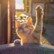 589a415e1d7416bd8124433ba7b250c5