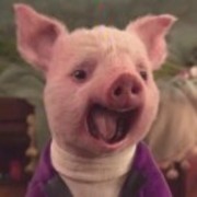 9b6336cbf634528590052bc314589c39